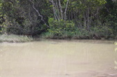 Enlarge photo 56