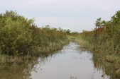 Enlarge photo 58