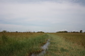 Enlarge photo 59
