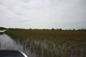 Enlarge photo 63