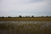 Enlarge photo 62