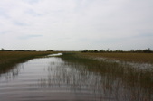 Enlarge photo 64