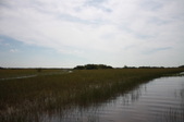 Enlarge photo 65
