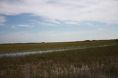 Enlarge photo 67