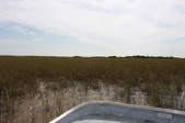 Enlarge photo 68