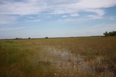 Enlarge photo 69