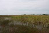 Enlarge photo 72