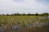 Enlarge photo 75