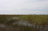 Enlarge photo 74