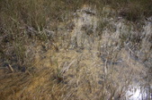 Enlarge photo 79