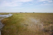Enlarge photo 78