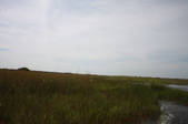 Enlarge photo 77