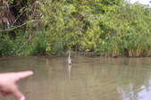 Enlarge photo 80