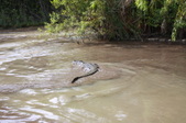 Enlarge photo 81