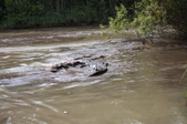Enlarge photo 82
