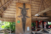 Enlarge photo 87