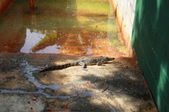 Enlarge photo 94
