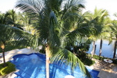 Enlarge photo 61