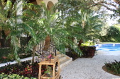 Enlarge photo 108