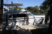 Enlarge photo 107