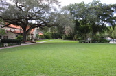 Enlarge photo 71