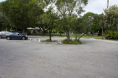 Enlarge photo 80