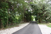 Enlarge photo 105