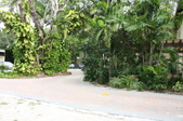 Enlarge photo 106