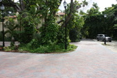 Enlarge photo 111