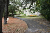 Enlarge photo 124