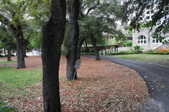 Enlarge photo 125