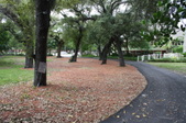 Enlarge photo 127