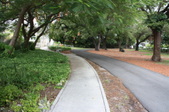 Enlarge photo 132