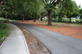 Enlarge photo 134