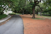 Enlarge photo 135