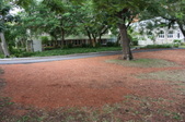 Enlarge photo 136