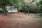 Enlarge photo 137