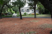 Enlarge photo 138