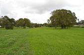 Golf Course
