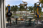 Enlarge photo 136
