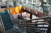Enlarge photo 146