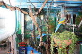 Enlarge photo 210