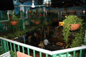 Enlarge photo 213