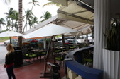 Enlarge photo 225