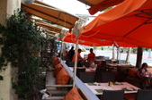 Enlarge photo 255