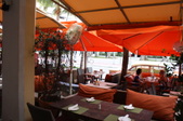 Enlarge photo 262