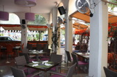 Enlarge photo 264