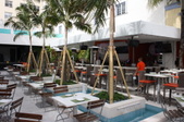 Enlarge photo 272