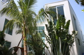 Enlarge photo 39