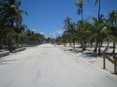 Enlarge photo 66
